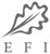 alpha-efi logo-761027ec